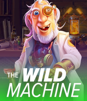 The Wild Machine